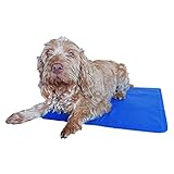Rosewood Chillax Cool Pad, Large, 60 x 90 cm